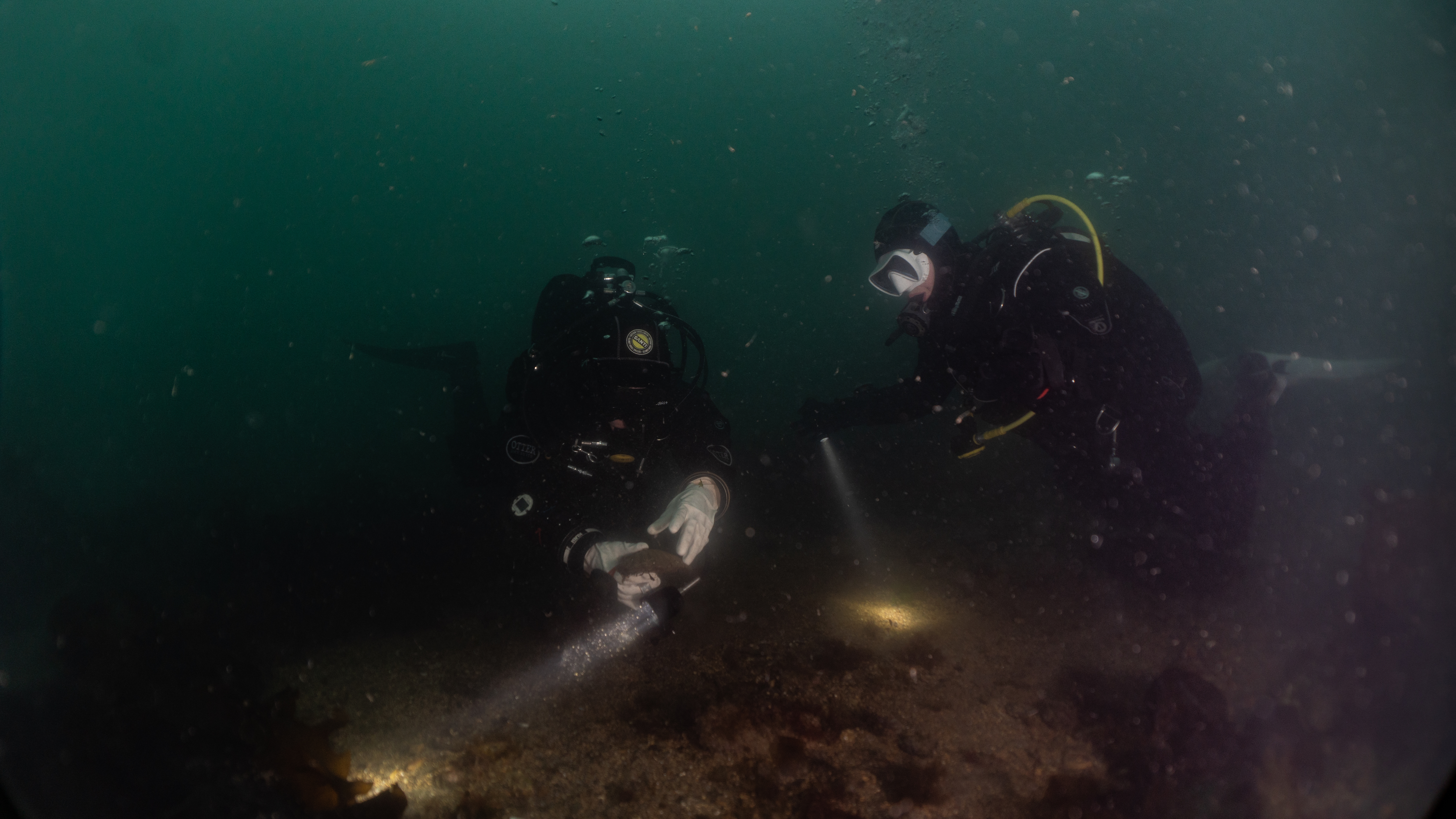 Scuba training in swimming pool