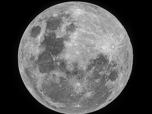 Full Harvest Moon & Parasite Detox