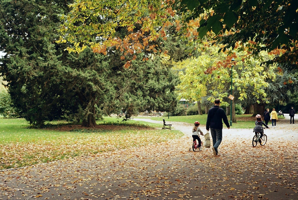 Photo by Alexis B: https://www.pexels.com/photo/autumn-stroll-in-a-park-in-nancy-france-29521306/