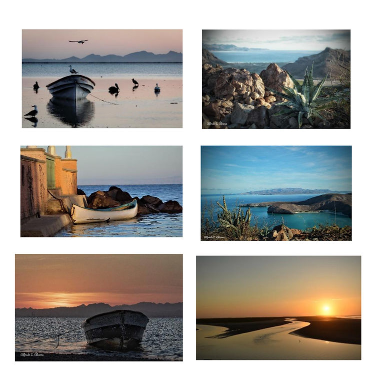 Captura de pantalla 2025-02-03 a la(s) 9.45.22 a.m._edited.jpg