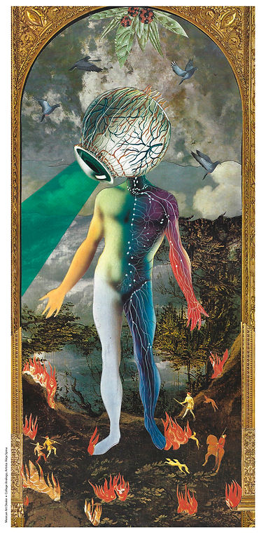 01 collage 40x80cm FOTOGRAFICO - Alejandra Garciglia.jpg