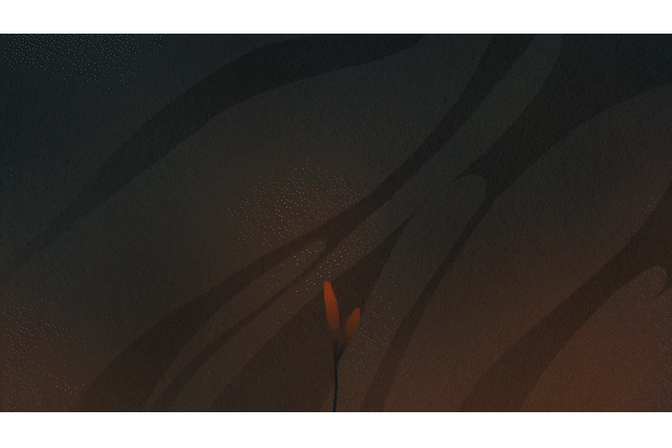 Bloom Gif.gif