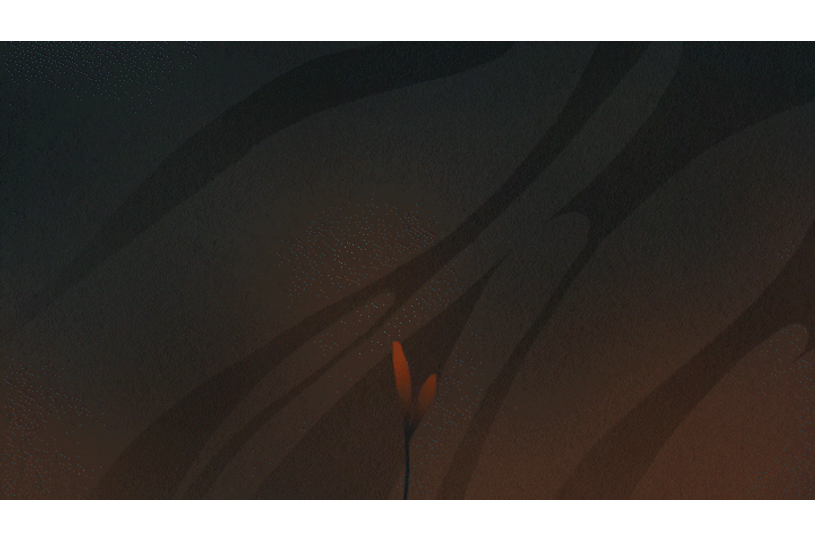 Bloom Gif.gif