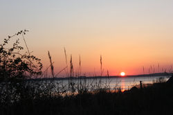 Blick vom Grundstück