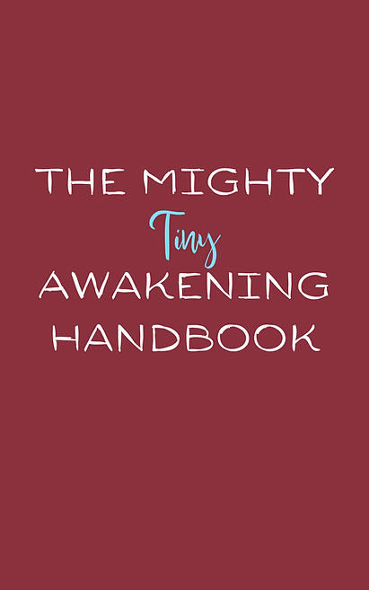 The Mighty Tiny Awakening Handbook (4.25 x 6.87 in) (5 x 8 in).png