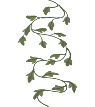 vines