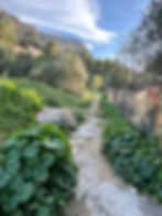 Join us Sunday, February 16 for a morning of fresh air, language practice, and beautiful views! 📍 Meeting Point: DarKha Academy 🕙 Time: 10:00 AM 🌄 Destination: Exploring the trails behind the Castle of Xàtiva 🏰 📏 Distance: 8 to 12 km ⛰️ Terrain: Up and down hills 👟 What to Bring: Hiking boots, layers, water 💧 Let’s practice Spanish & English