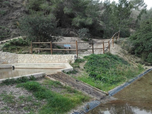 Natural landscape of La Font Amarga near Llosa de Ranes featuring water, walking paths and Mediterranean vegetation during an outdoor bilingual activity organized by DarKha Academy.