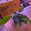 Miniatura: Anthurium Big Bill