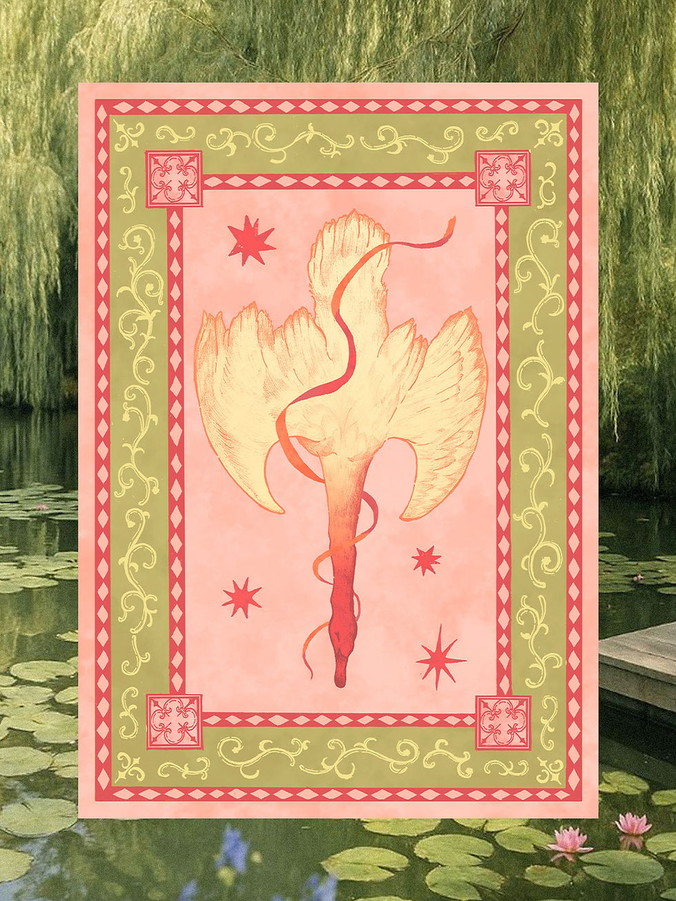 cisne.jpeg