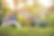 istockphoto-1182314285-612x612.jpeg