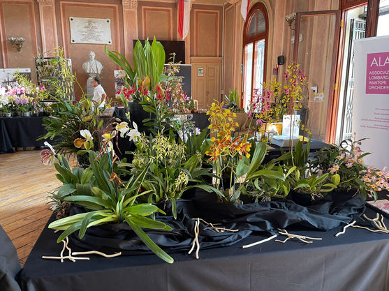 PHOTO-2022-06-19-09-32-36 (1).jpg