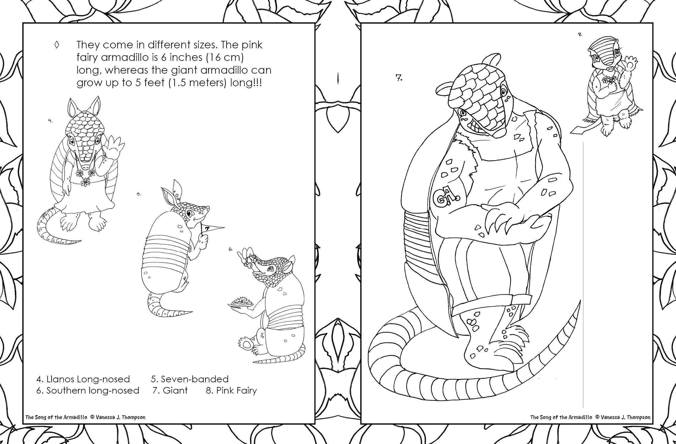 Armadillos
