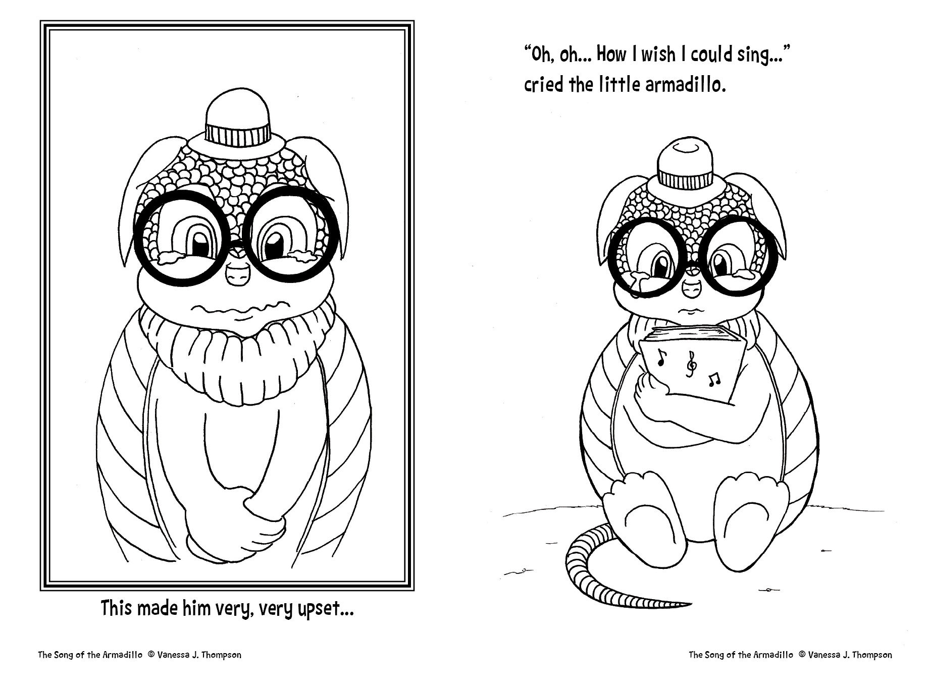 Sad Armadillo
