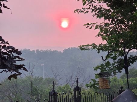 Wildfire Smoke and Health