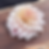 Thumbnail: KA Mocha Jake