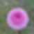 Thumbnail: Fifi