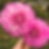 Thumbnail: Amelia Bedelia