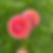 Thumbnail: Natalie G
