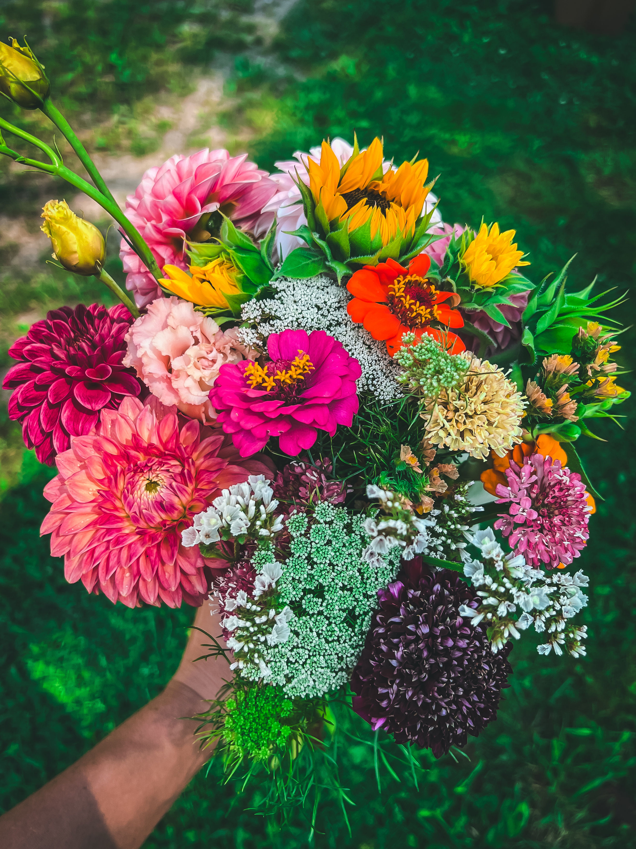 2026  Dahlia Bouquet Subscription FARM PICK UP