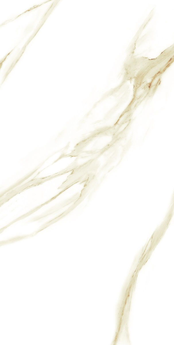 VIA Marble Porcelain Polished Tile 1200x600mm