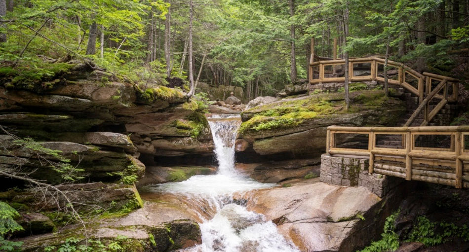 Wide angle view of green and minimal landscape