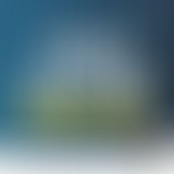 평택자동차담보대출