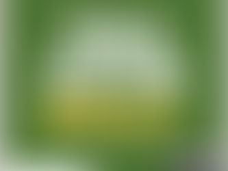 밀양자동차담보대출