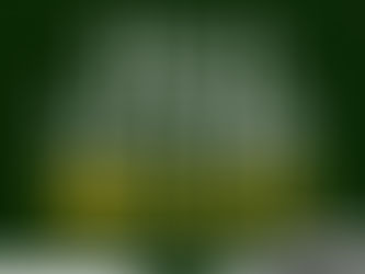 광양자동차담보대출