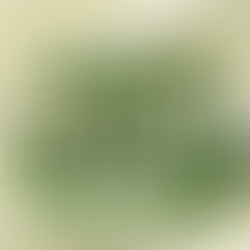 사천자동차담보대출