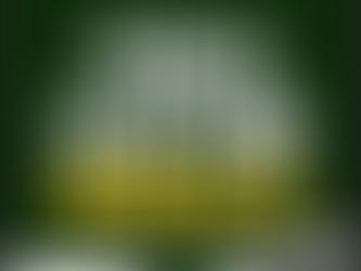 목포자동차담보대출