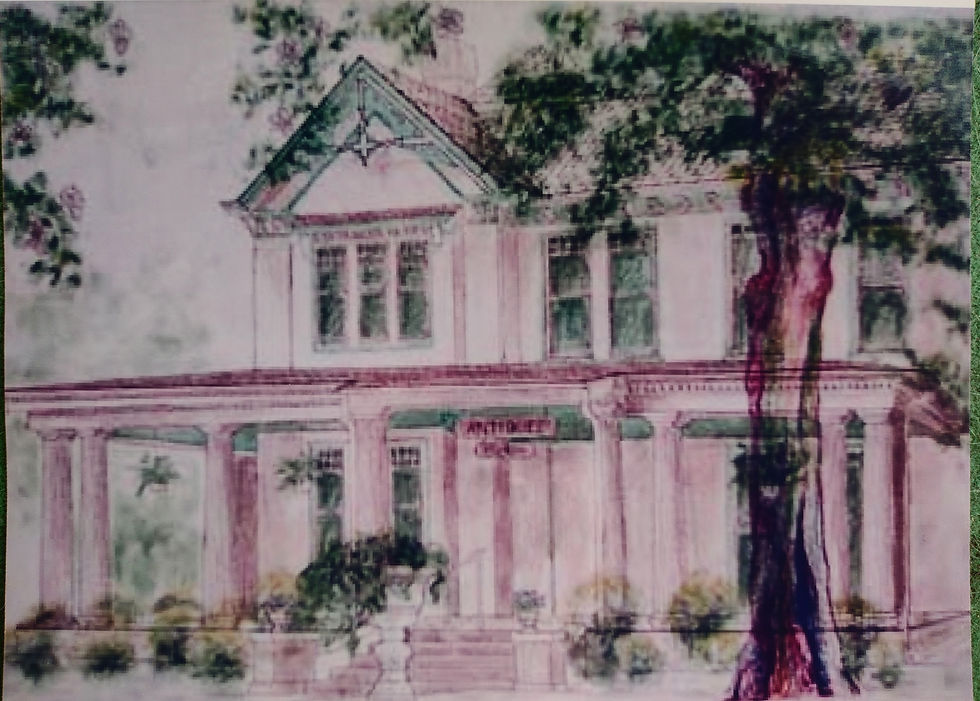 MagnoliaHouse2.acrylicwashonpaper