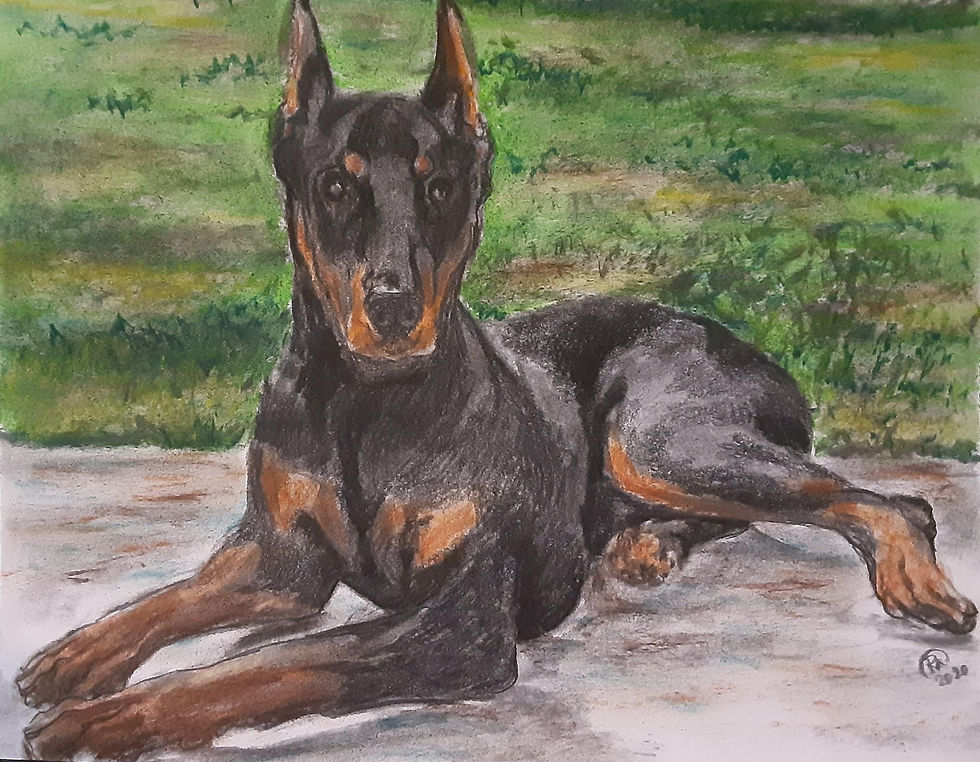 Doberman