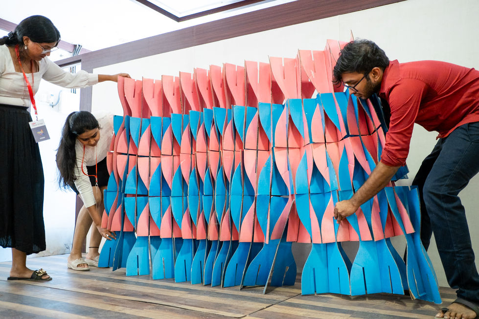 53815531458_a15032a3ae_o