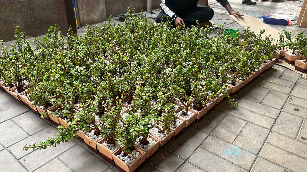 44602D5A-9882-4536-B3E4-D10F18D80367