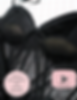 Push up Bra Insert Pattern|Bra Inserts|Push up Bra|Bra Cups|Bra Pads