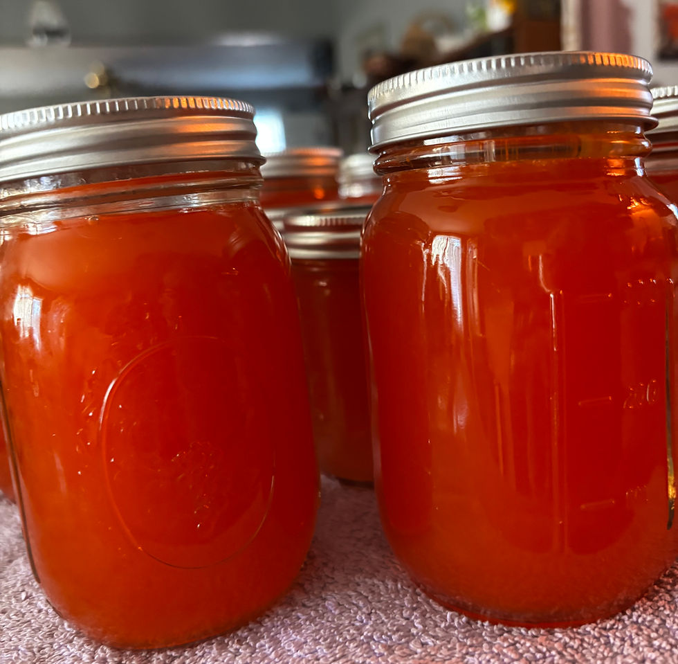 Eye-level view of a glass jar filled with bright red watermelon lemonade concentrate on a wooden table