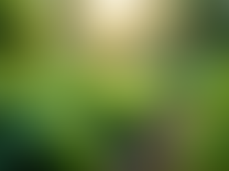 Eco-Friendly Living: Tips for a Mindful Lifestyle