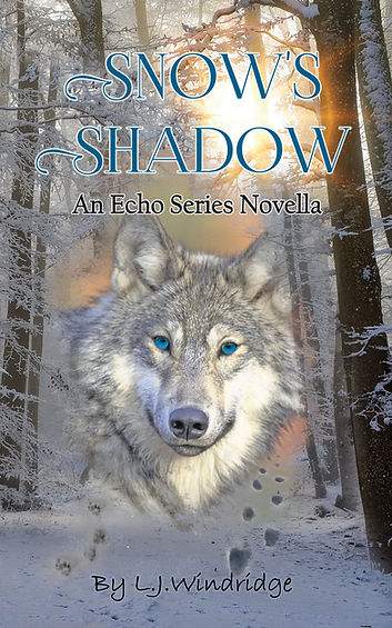 E book 1 (1).jpg