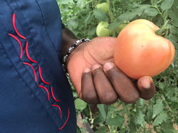 EnviroDome® in Ghana 2