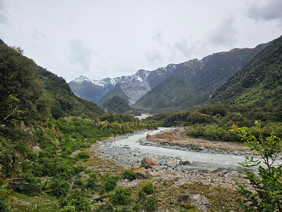 Blick auf den Erdrutsch von 2015