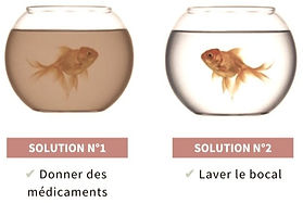 il faut prendre soin de notre environnement