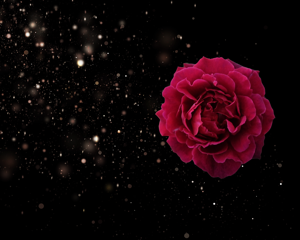 Copy of Forbidden Hearts (Banner).png