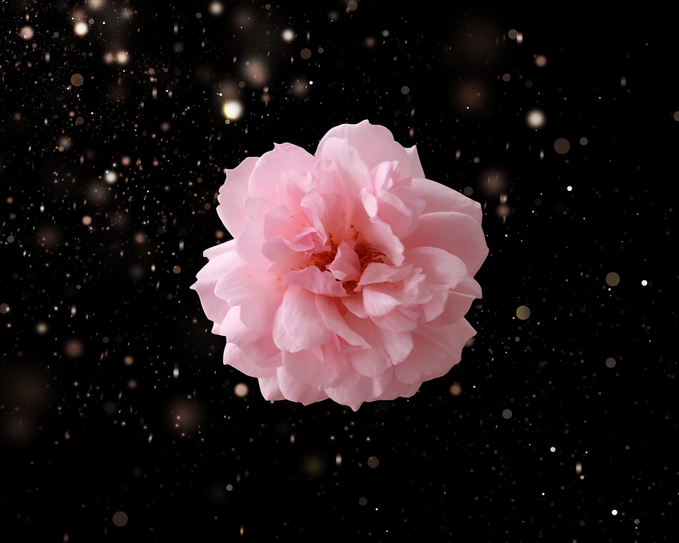 Copy of Forbidden Hearts (Banner)-2.png