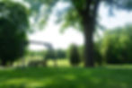 DSC01215.JPG