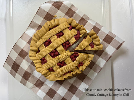 Gentle nutrition is good enough this holiday season