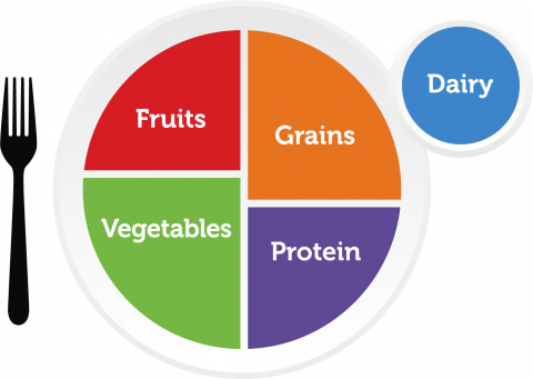 MyPlate, a visual guide for meal planning, replaced the food pyramid in 2011.