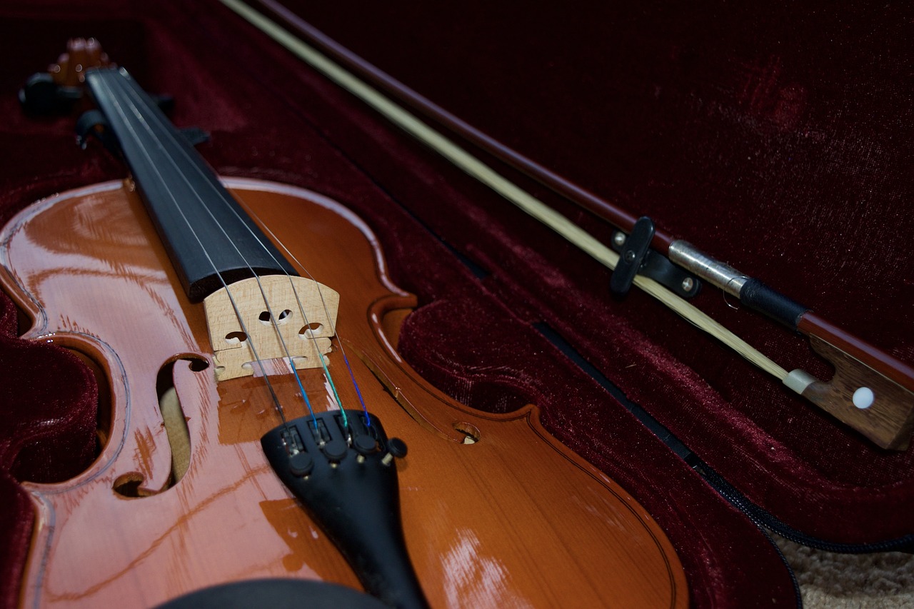 violin-1136986_1280.jpg