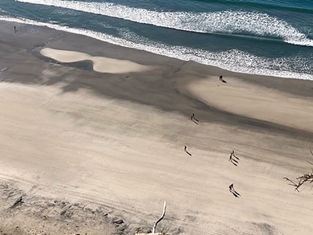 Local Break Surf Magazine King Tide Challenge Chris Swanner Overview