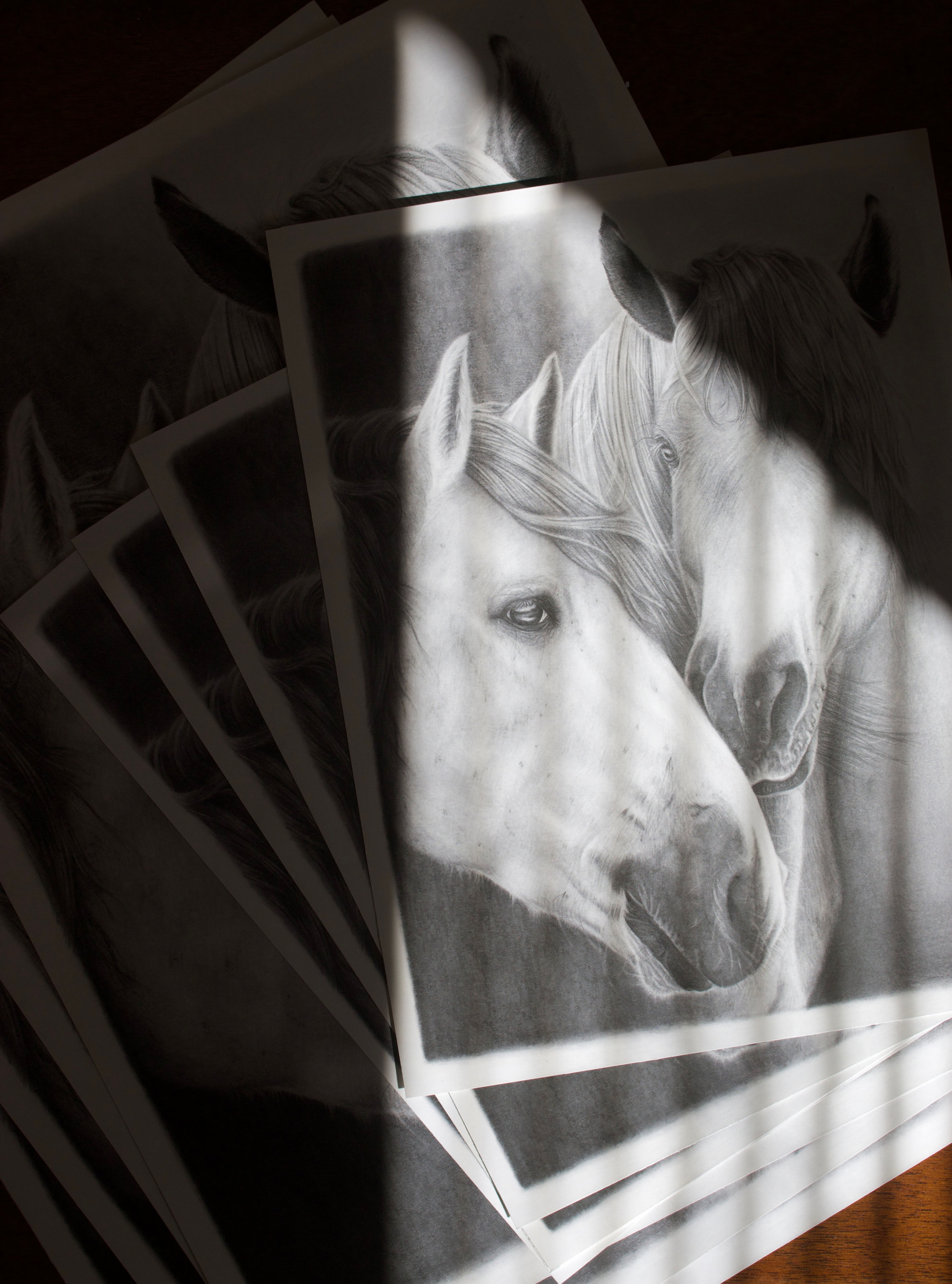 Nudge | Open Edition - two hand drawn graphite horses